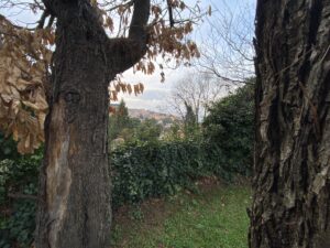 image00021